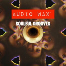Album cover of Soulful Grooves