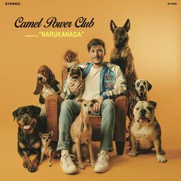 Album cover of Narukanaga