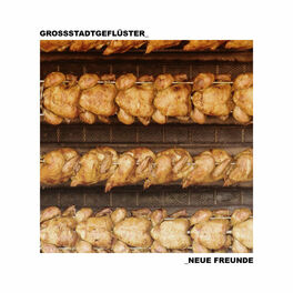 Album cover of Neue Freunde