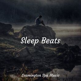 Album cover of Sleep Beats