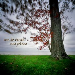 Album cover of Relaxamento: Som do Vento nas Folhas