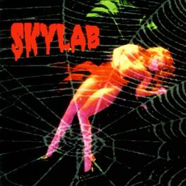 Album cover of Skylab