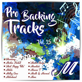 Album cover of Pro Backing Tracks M Vol.25