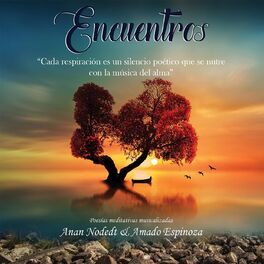Album cover of Encuentros
