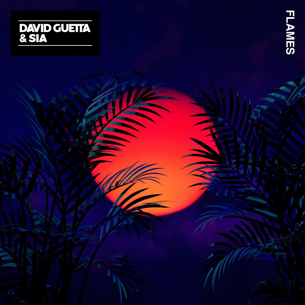Flames david