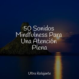 Album cover of 50 Sonidos Mindfulness Para Una Atención Plena