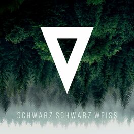 Album cover of Schwarz Schwarz Weiß