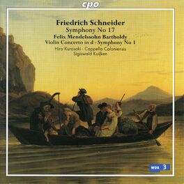 Album cover of Schneider & Mendelssohn: Orchestral Works