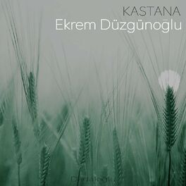 Album cover of Kastana