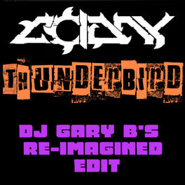 Album cover of Thunderbird (DJ Gary B's Reimagined Re-Edit)