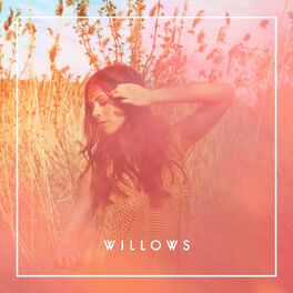 Album cover of Willows