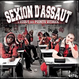 Album cover of L'école des points vitaux