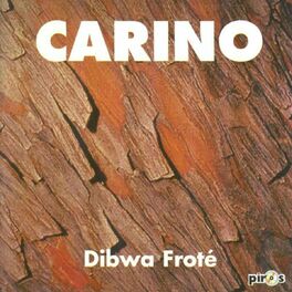 Album cover of Dibwa froté (Ile Maurice)