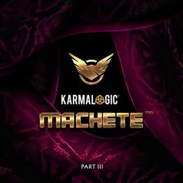 Album cover of Karmalogic III