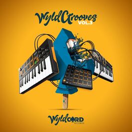 Album cover of WyldGrooves, Vol. 3