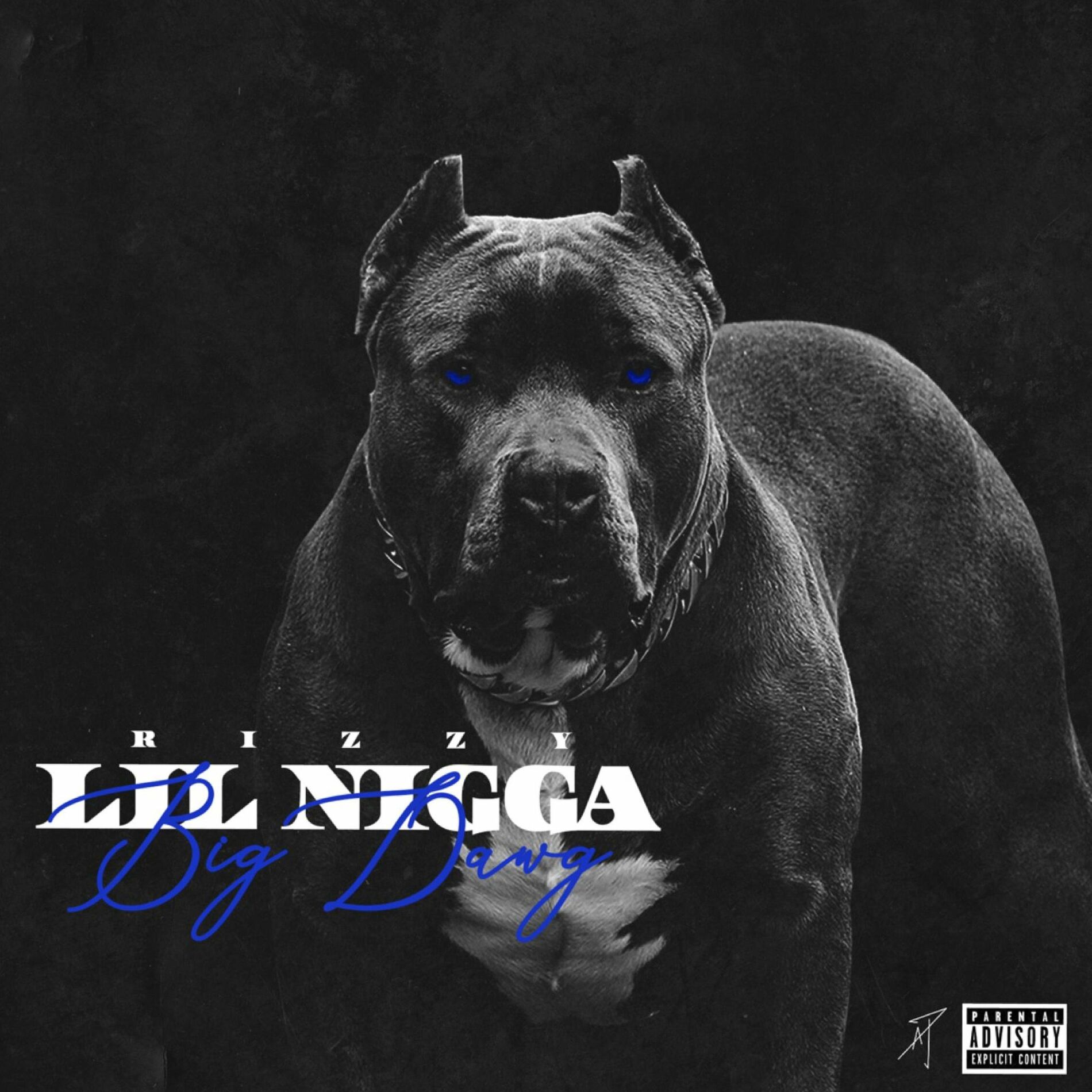 RIZZY - Lil Nigga Big Dawg: lyrics and songs | Deezer