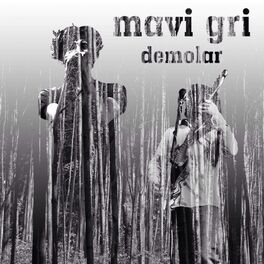 Album cover of Demolar