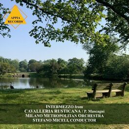 Album cover of Intermezzo from Cavalleria Rusticana