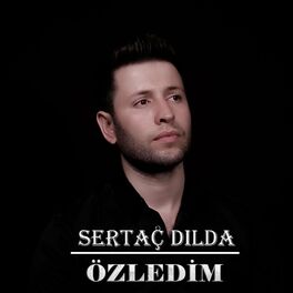Album cover of Özledim