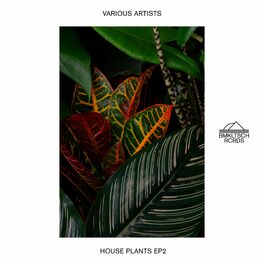 Album cover of House Plants 2 - EP (Extended)