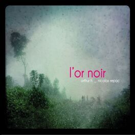Album cover of L'or noir