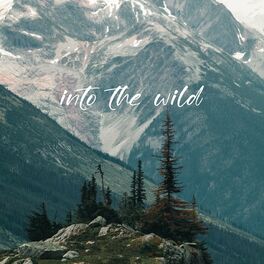 Album cover of Into the wild