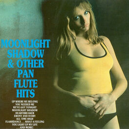 Album cover of Moonlight Shadow and Other Panflute Hits