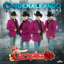 Album cover of Cardenaleando Vol. 3