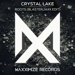 Album cover of Roots (Blasterjaxx Radio Edit)