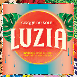 Album cover of Luzia