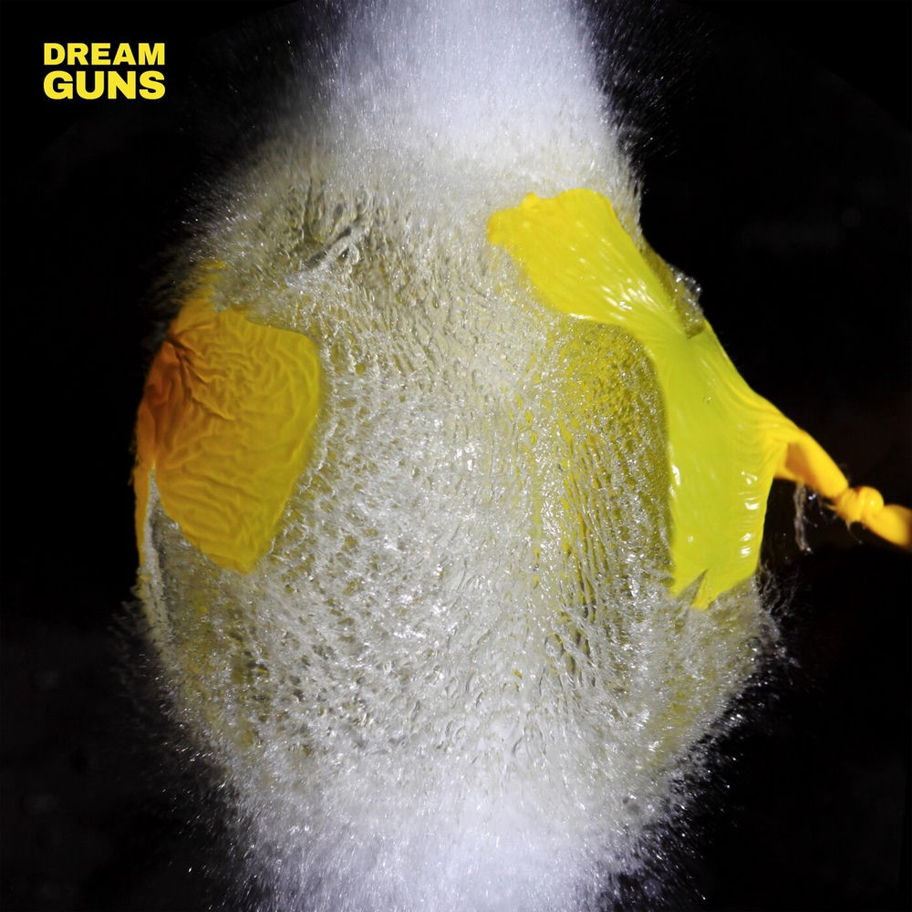 dream of guns