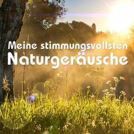 Album cover of Meine Stimmungsvollsten Naturgeräusche