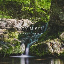 Album cover of Calm VIII