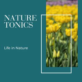 Album cover of Nature Tonics - Life in Nature