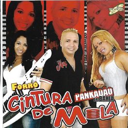 Album cover of Cintura de Mola, Vol. 4 (Ao Vivo)