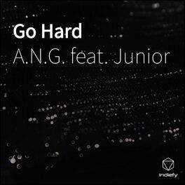 Album cover of Go Hard