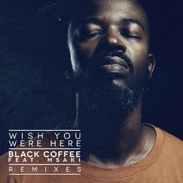 Album cover of Wish You Were Here (feat. Msaki) (Remixes)