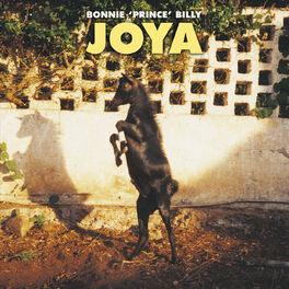 Album cover of Joya