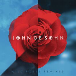Album cover of Wild Roses (Remixes)