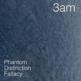 Album cover of Phantom Distinction Fallacy