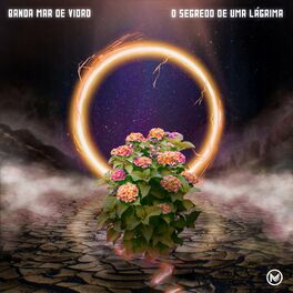 Album cover of O Segredo de Uma Lágrima