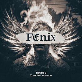 Album cover of Fênix