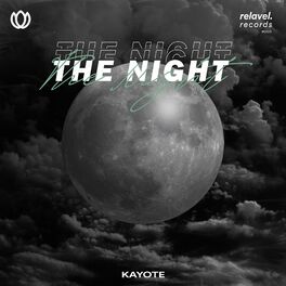 Album cover of The Night