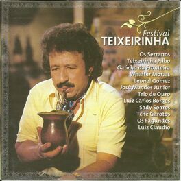 Album cover of Festival Teixeirinha