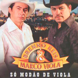 Album cover of Só Modão de Viola