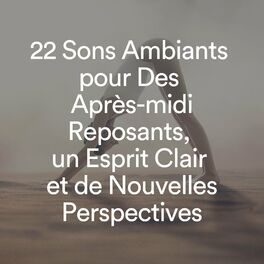 Album cover of 22 Sons Ambiants pour Des Après-midi Reposants, un Esprit Clair et de Nouvelles Perspectives