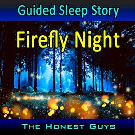 Album cover of Guided Sleep Story. Firefly Night