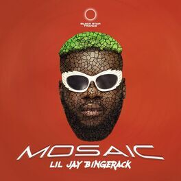 Album cover of Mosaic