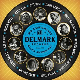 Album cover of Delmark 70th Anniversary Blues Anthology