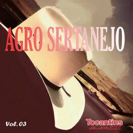 Album cover of Agro Sertanejo - Vol.3